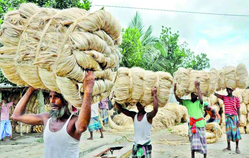 Jute crisis: Trinamool MP seeks PM’s intervention