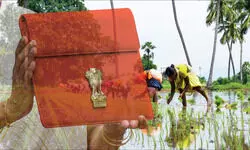 Gains and gaps Gains and gaps