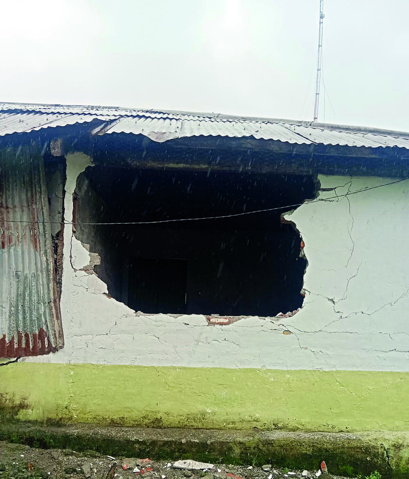 Jumbo raids tea plantation