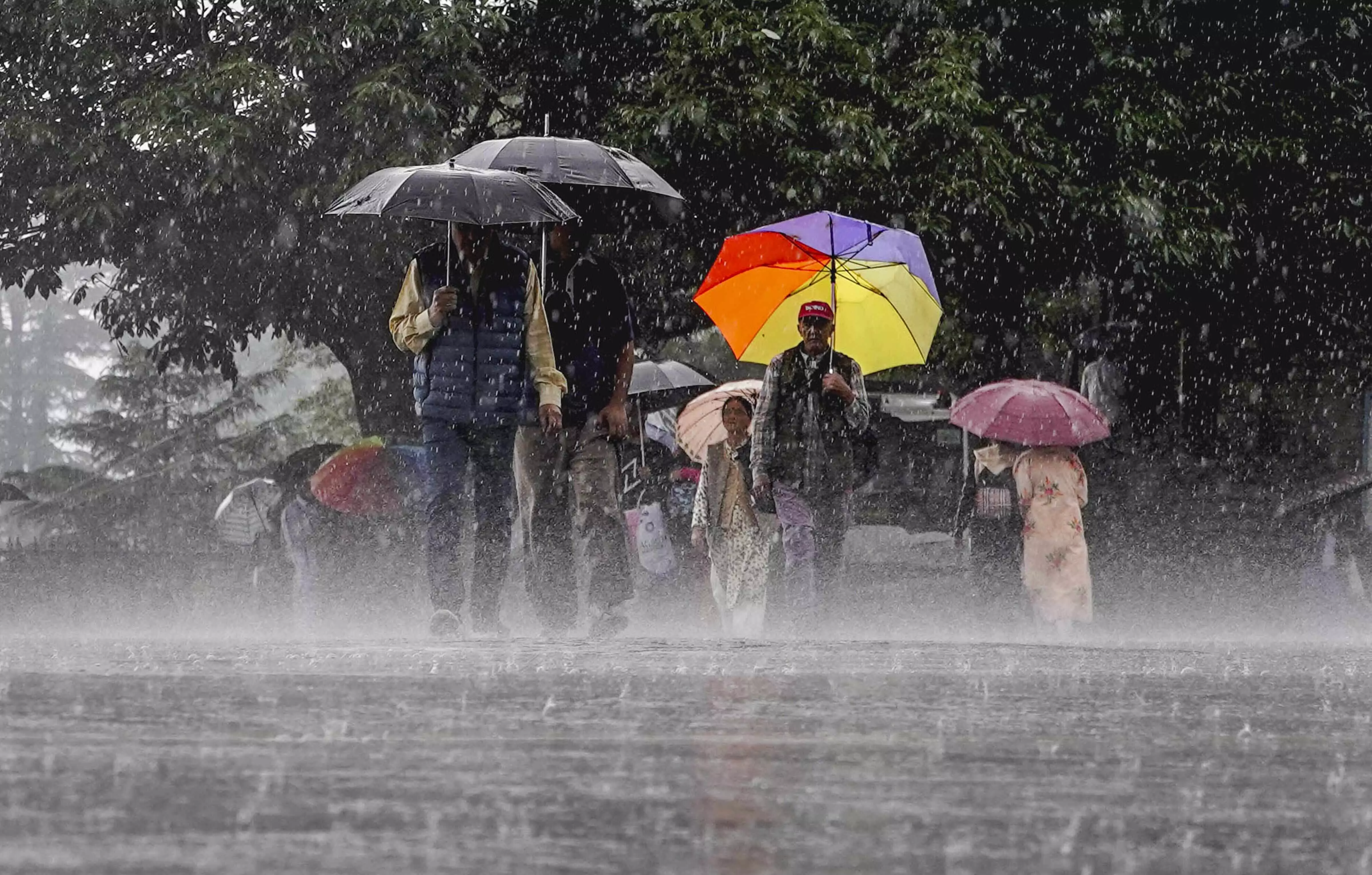 87 roads closed due to rains in Himachal Pradesh