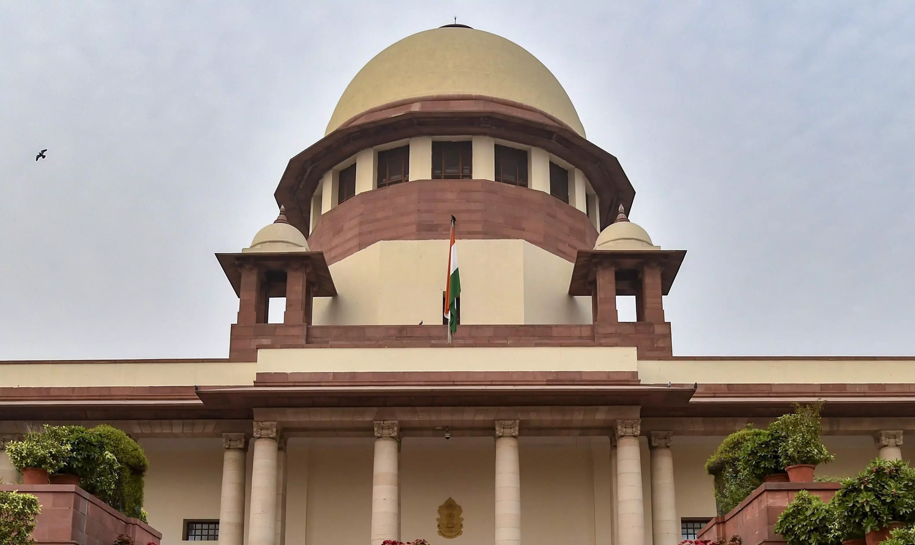 School jobs row: SC to hear plea in Sept of WB challenging Calcutta HC order School jobs row: SC to hear plea in Sept of WB challenging Calcutta HC order