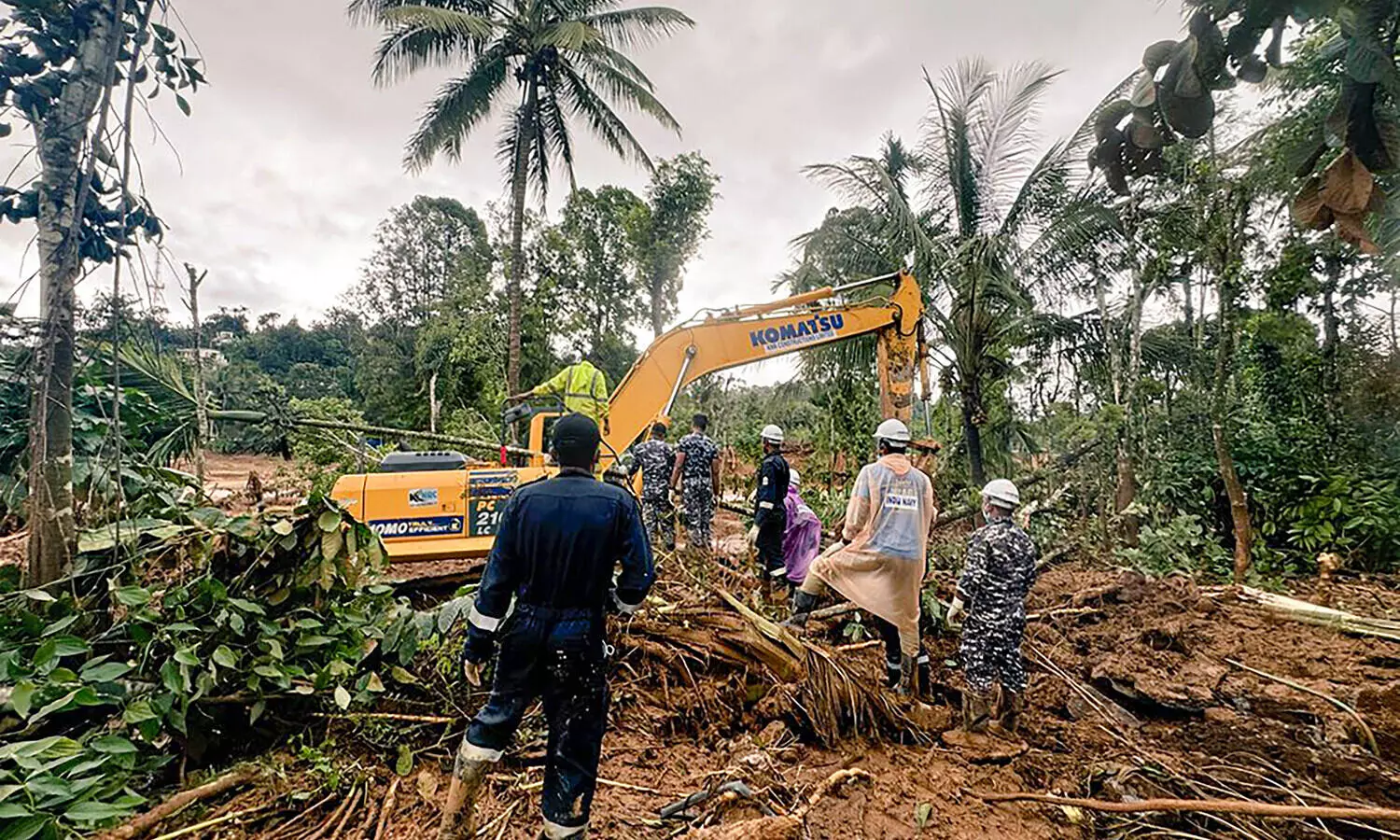 Search mission resumes in landslide-hit Wayanad; hundreds of civil volunteers take part