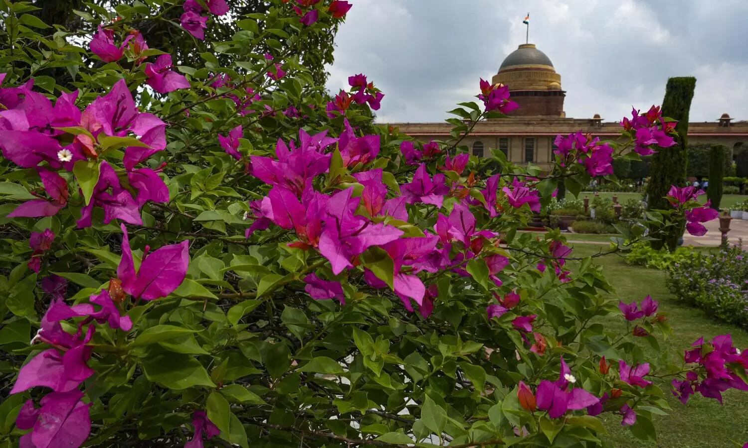 President Murmu to open Amrit Udyan in Rashtrapati Bhavan on Aug 14, visitors to get seed papers