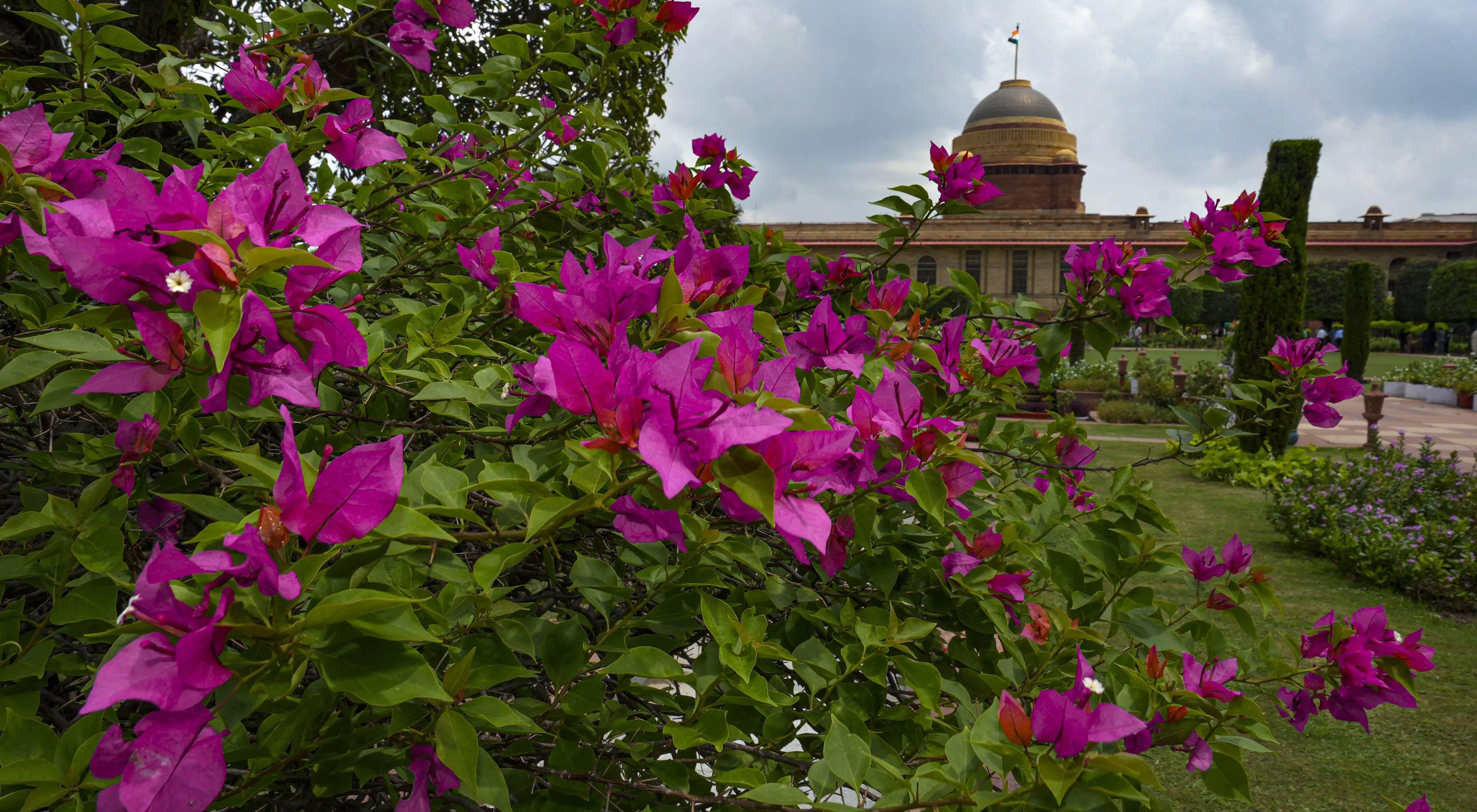 President Murmu to open Amrit Udyan in Rashtrapati Bhavan on Aug 14, visitors to get seed papers