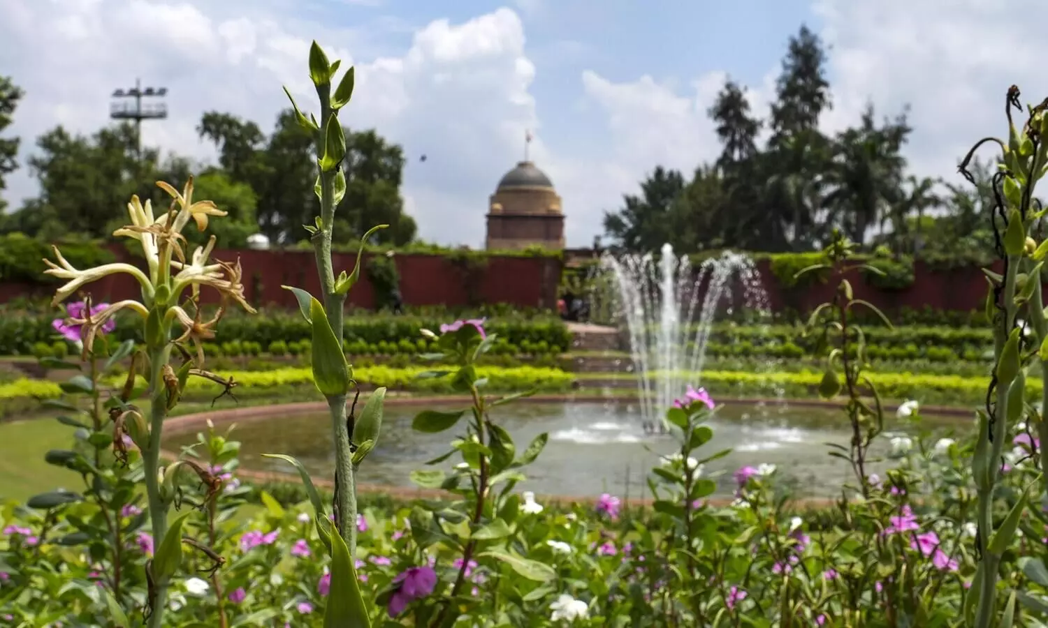 Amrit Udyan to open for public from Aug 16-Sept 15: Rashtrapati Bhavan
