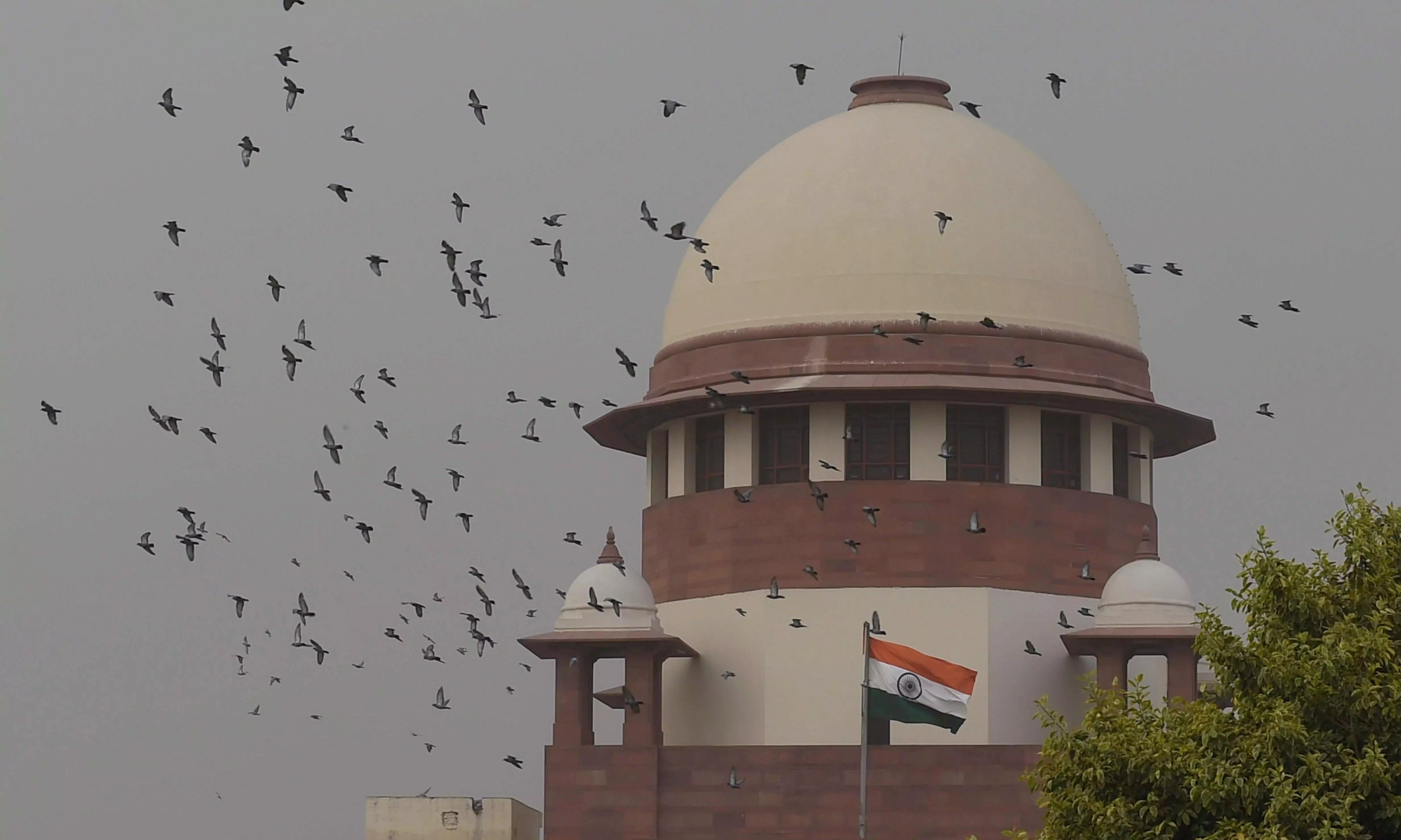 West Bengal govt seeks SC stay on HC verdict striking down OBC status of several castes West Bengal govt seeks SC stay on HC verdict striking down OBC status of several castes