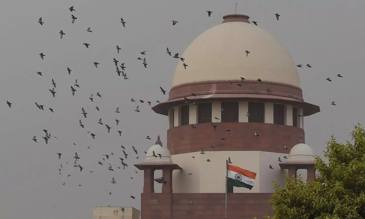 SC refuses to pass order to stop CoC from holding meeting in insolvency proceedings against Byjus