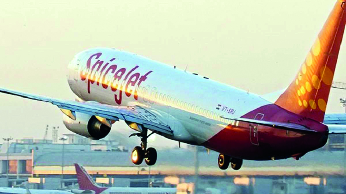 DGCA initiates action on three airlines, 1 flying training organisation DGCA initiates action on three airlines, 1 flying training organisation