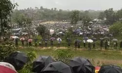 Resilience in fragile times