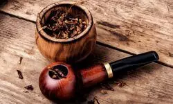 India plans to impose comprehensive curb on foreign direct investment in the tobacco sector India plans to impose comprehensive curb on foreign direct investment in the tobacco sector
