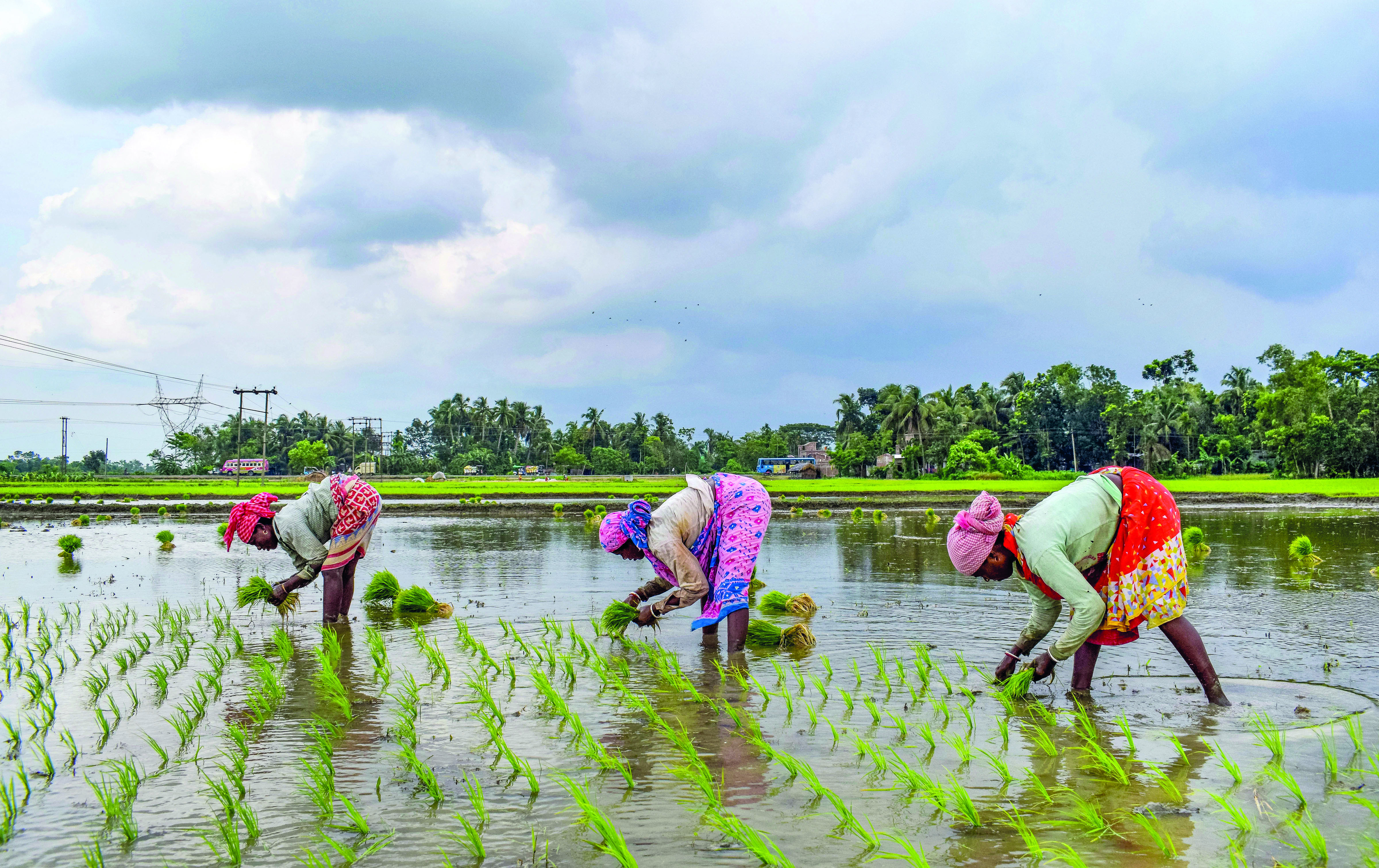 From ineligible beneficiaries to poor recovery of funds, CAG detects lapses in PM-KISAN in Assam From ineligible beneficiaries to poor recovery of funds, CAG detects lapses in PM-KISAN in Assam