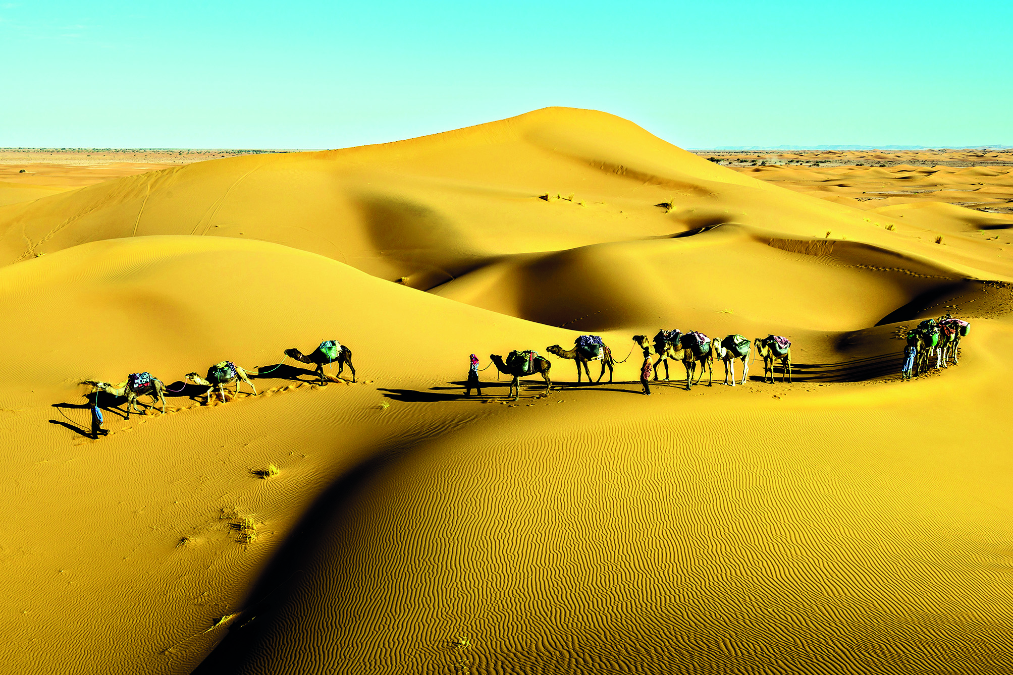 Navigating cultural crossroads