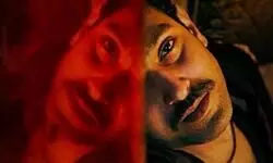 Sector 36 will be important at any point in time: Vikrant Massey