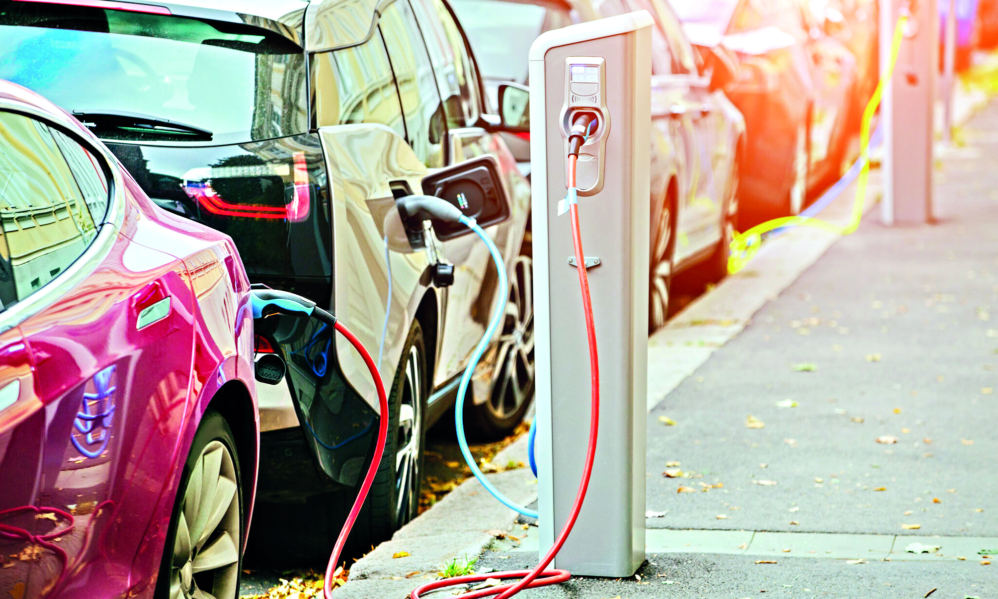 EVs can maintain cost without subsidies: Min