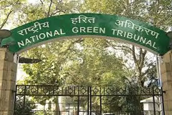 Strange that MCD did not file its response for clogged south Delhi drain on time: NGT