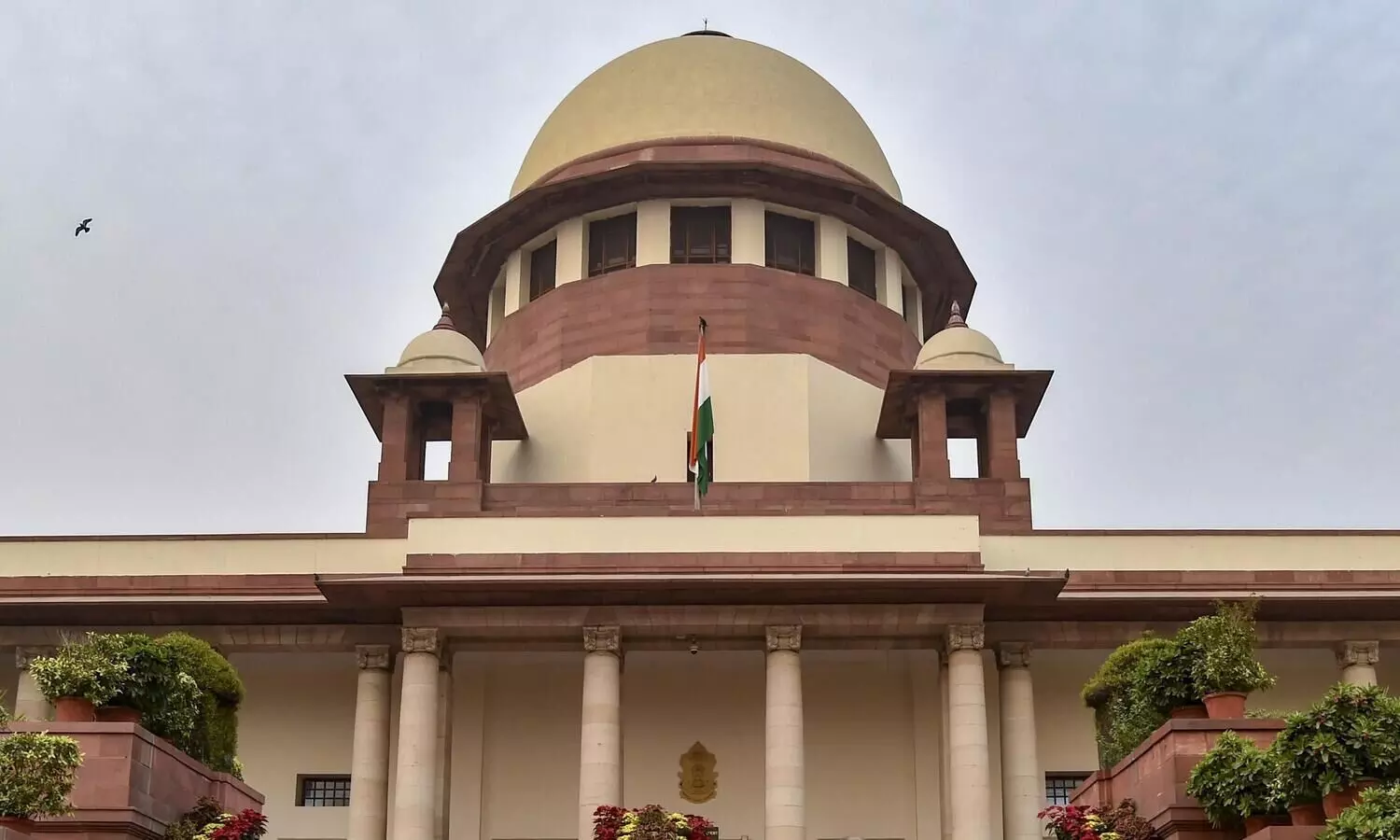 SC to hear plea tomorrow amid continuing strike by medics in West Bengal