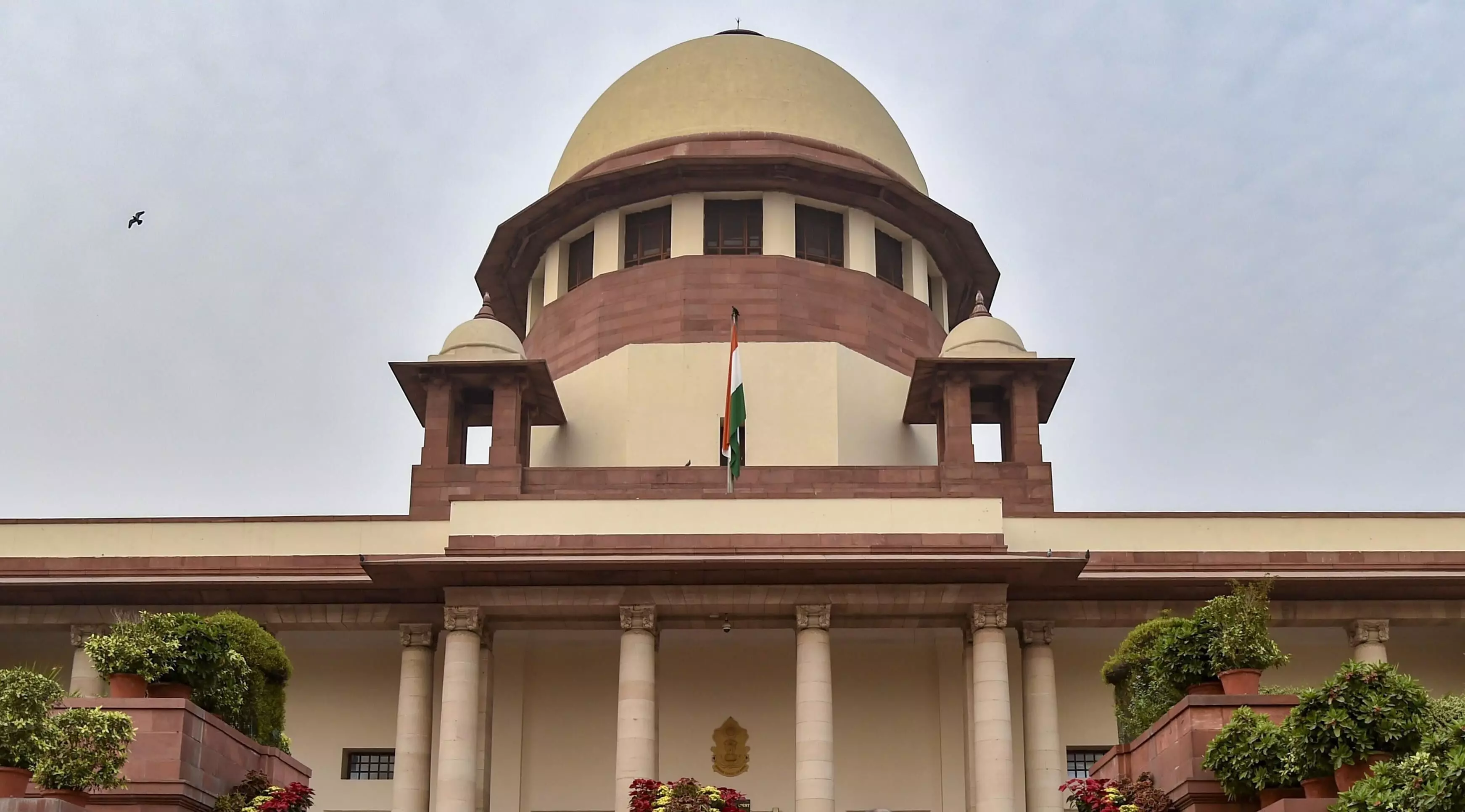SC to hear plea tomorrow amid continuing strike by medics in West Bengal