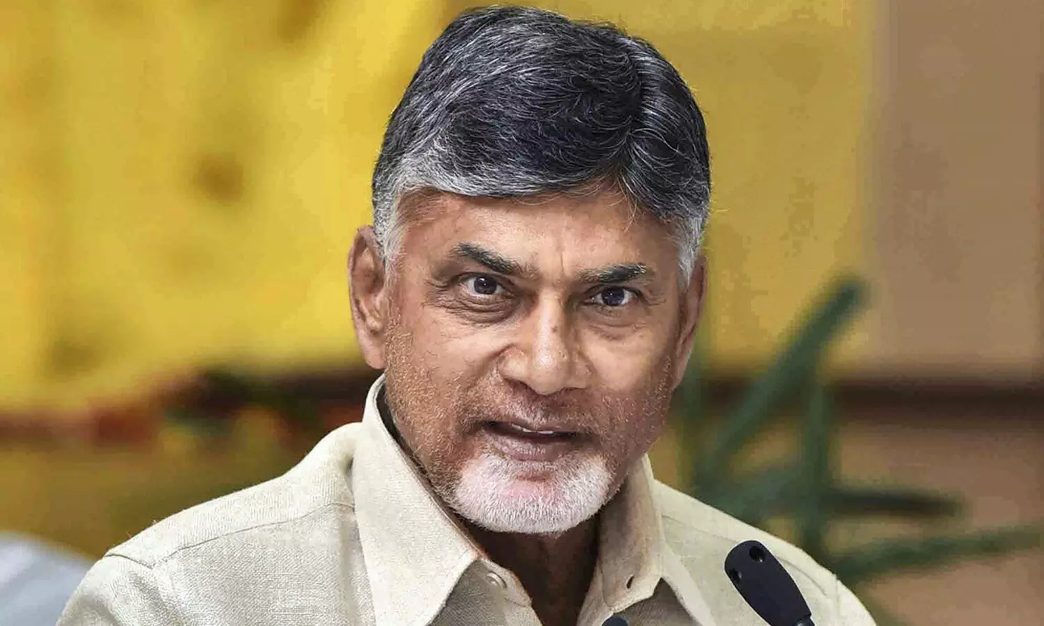 Andhra CM Naidu alleges animal fat was used in Tirupati laddu under YSRCP govt, YSRC denies