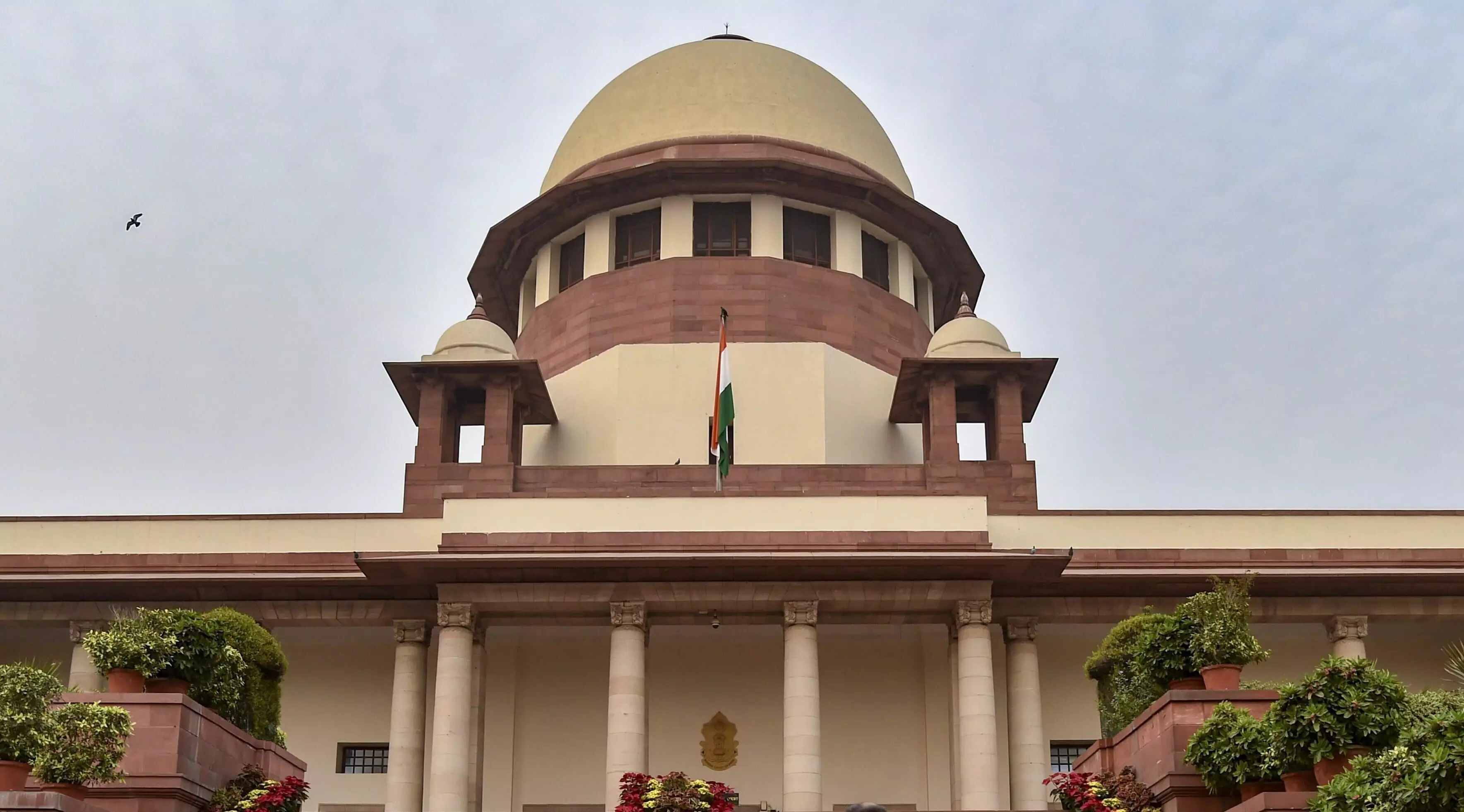 Coaching centre deaths: SC asks Centre-appointed panel to submit interim measures in 4 weeks Coaching centre deaths: SC asks Centre-appointed panel to submit interim measures in 4 weeks