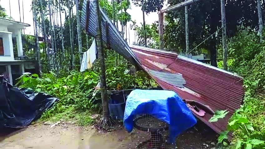 Sudden storm causes extensive damage across Matiali block