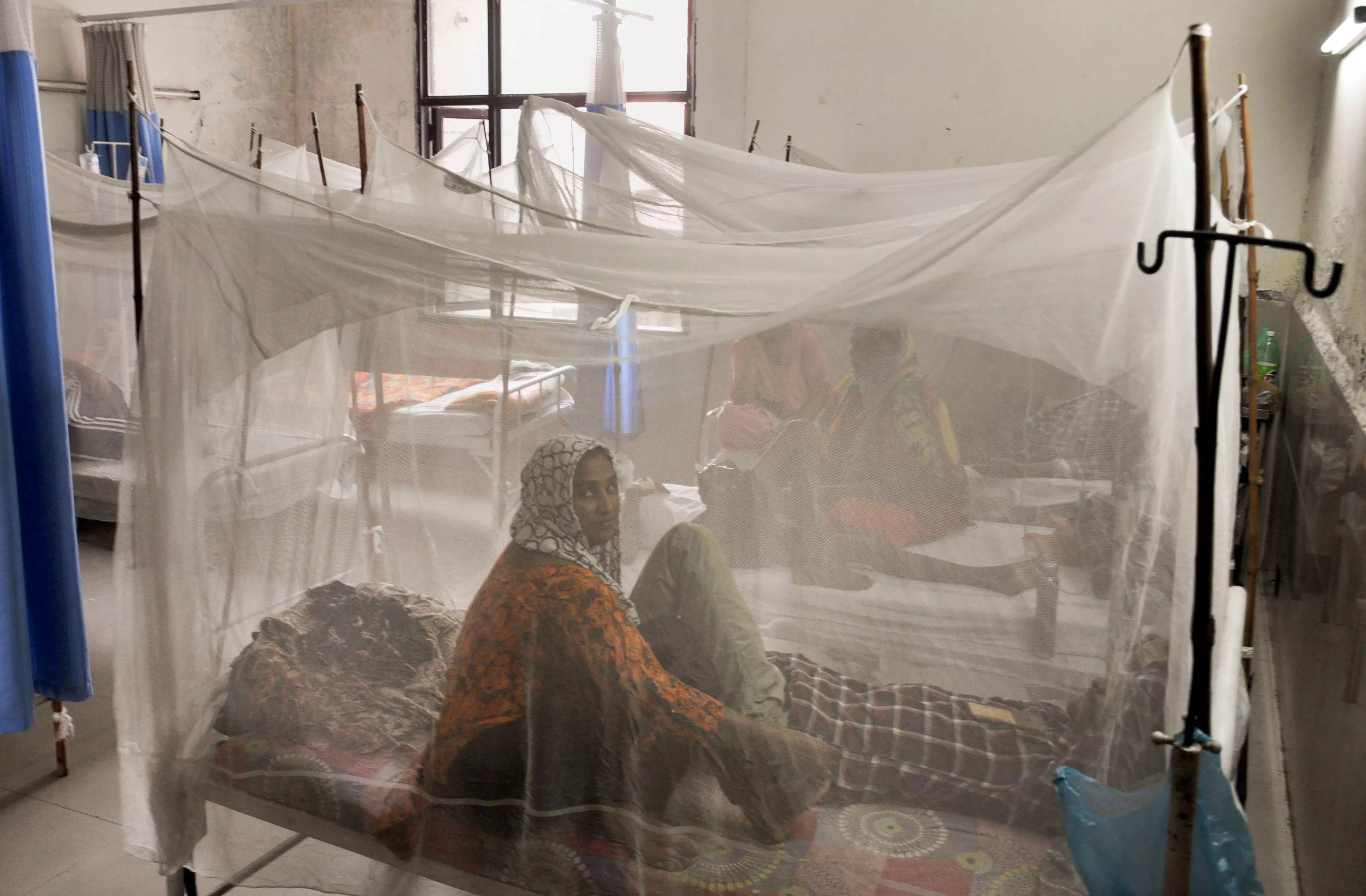 Delhi reports 300 more dengue cases in a week; malaria, chikungunya cases on rise too Delhi reports 300 more dengue cases in a week; malaria, chikungunya cases on rise too