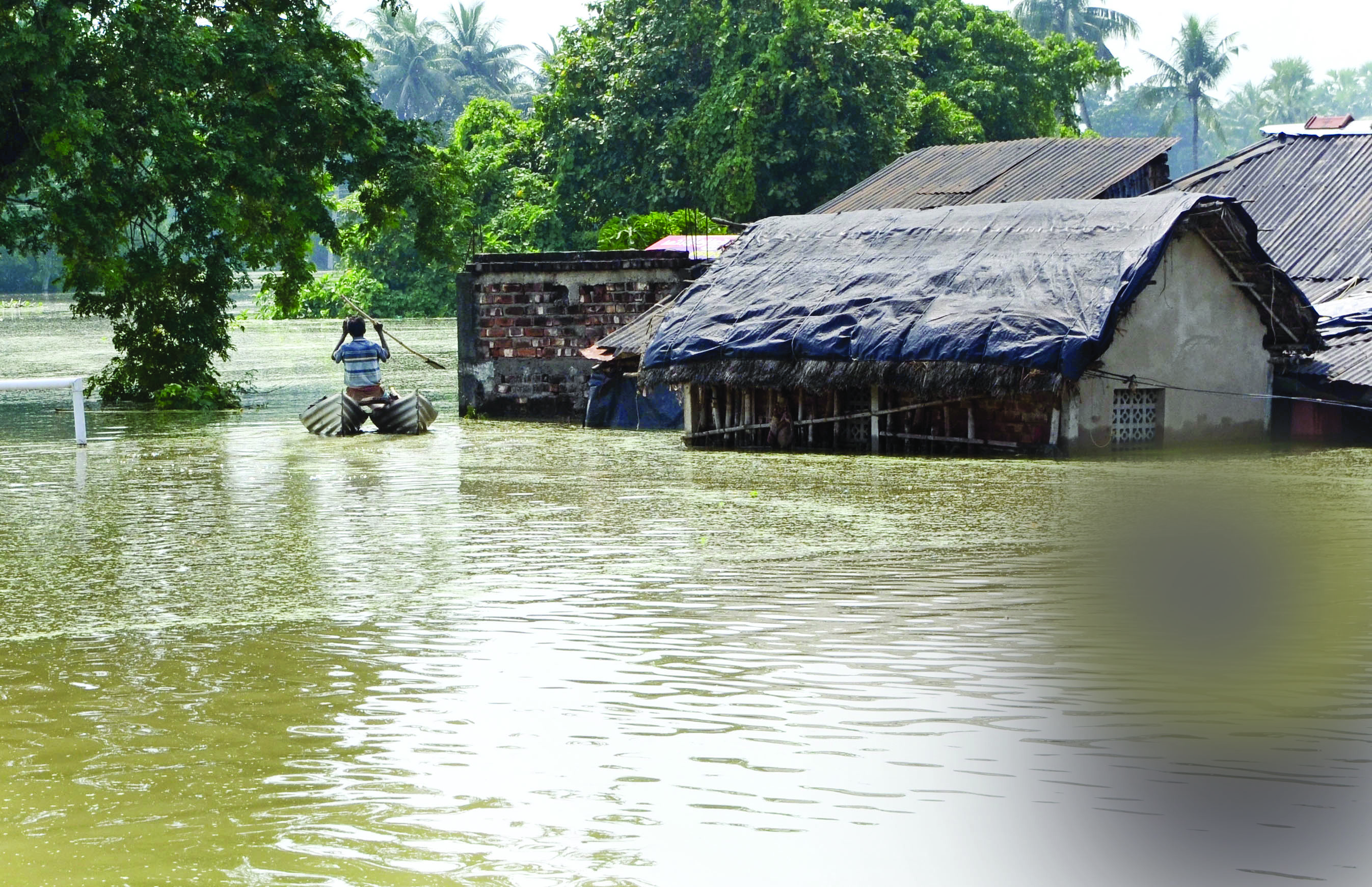 Mamata urges caution as Hooghly reports 39 snake bite cases in a week Mamata urges caution as Hooghly reports 39 snake bite cases in a week