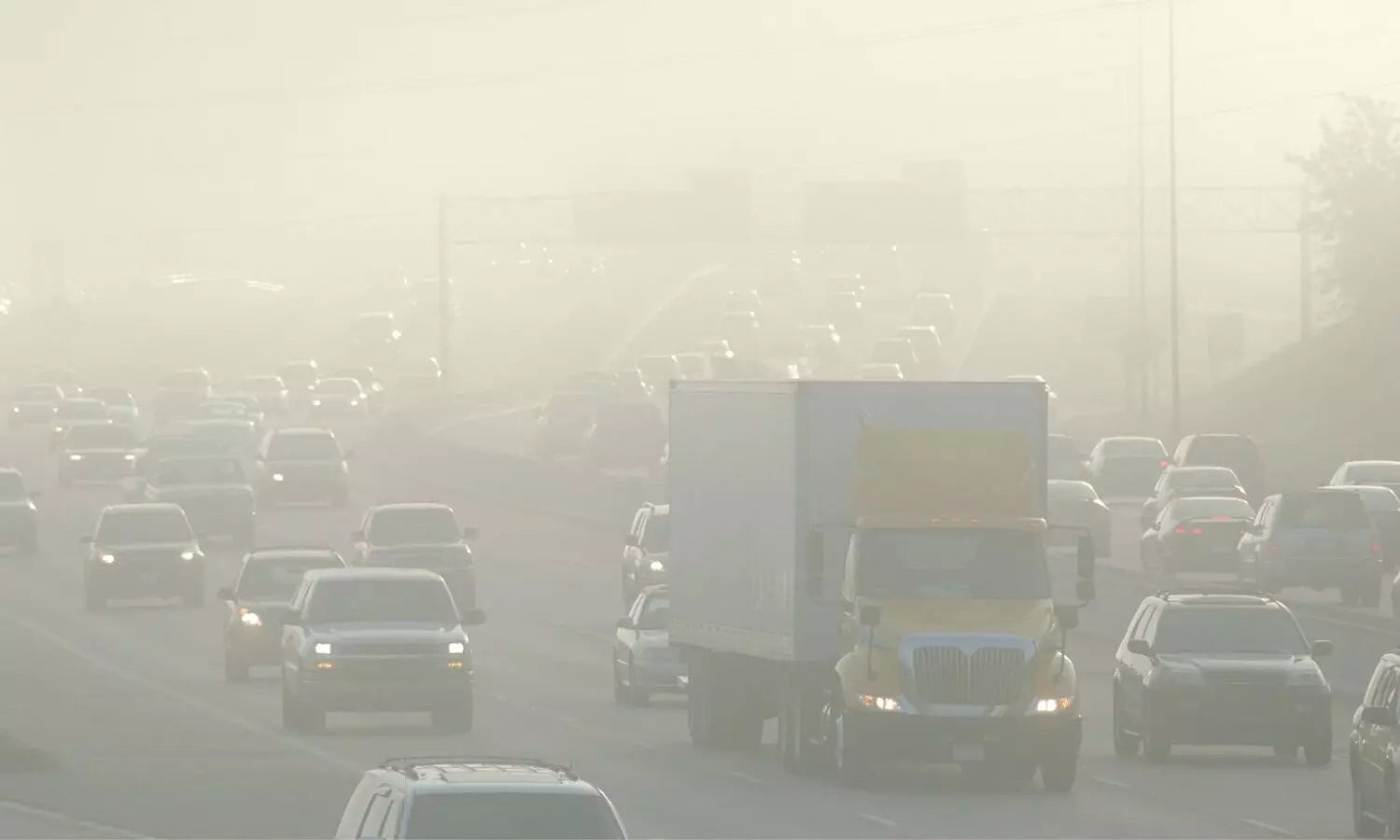 All in the air: SC raps Commission for Air Quality Management over stubble burning