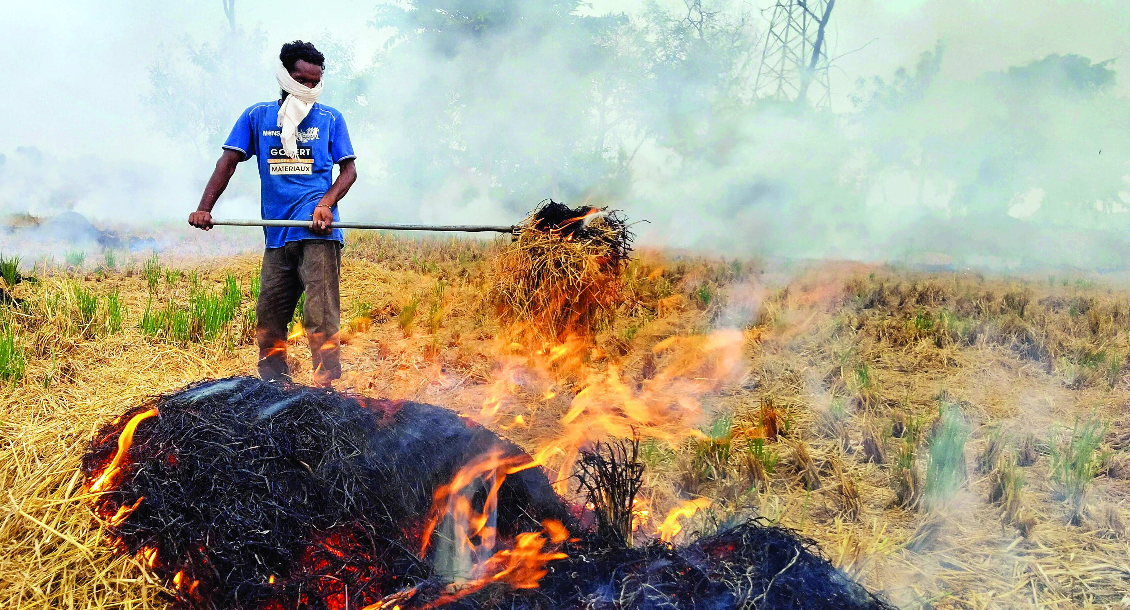 ‘Be more active’: SC rebukes air quality management panel over Delhi pollution