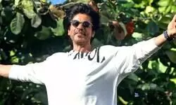 SRK asks Sandeep Reddy Vanga to make a film like ‘Pushpa’ for him SRK asks Sandeep Reddy Vanga to make a film like ‘Pushpa’ for him