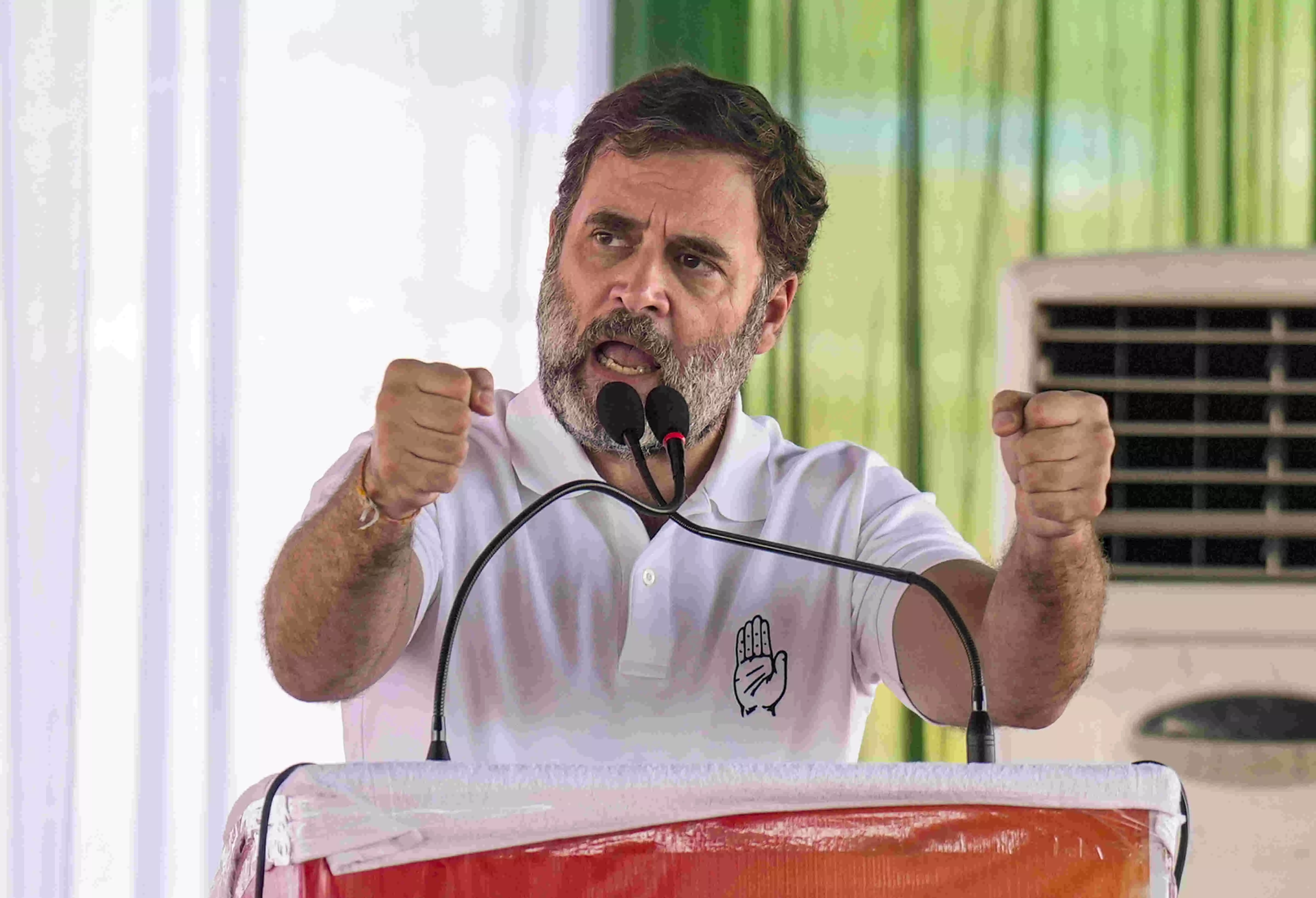 BJP spreads hatred, oust it from Haryana: Rahul