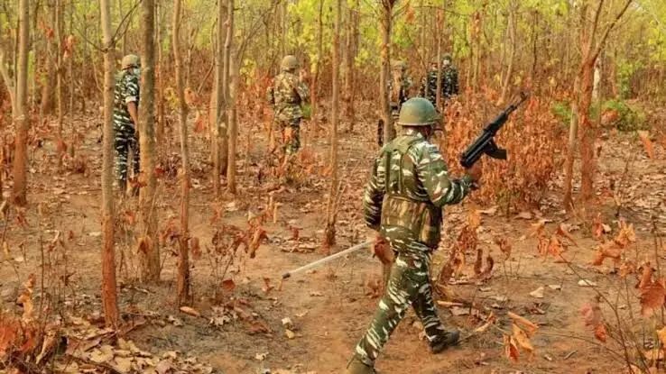 7 Naxalites shot dead by security personnel in Bastar region; toll up to 164 so far in 2024
