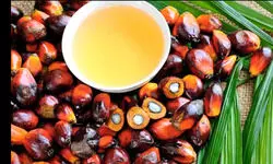 Talking Shop: Turn Off the Burner