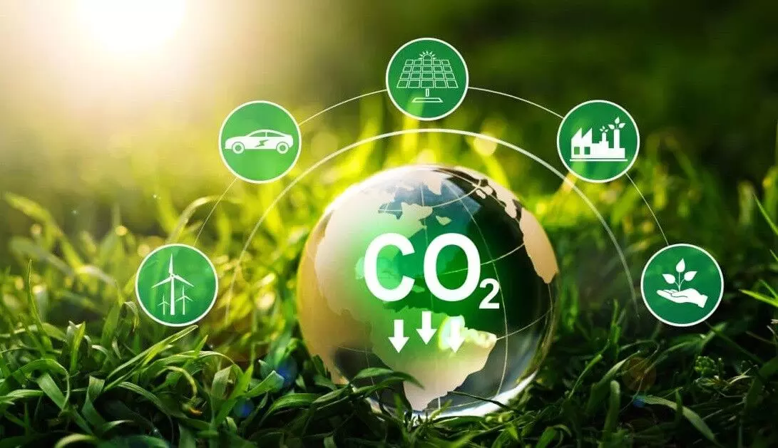 Economy of greening Economy of greening