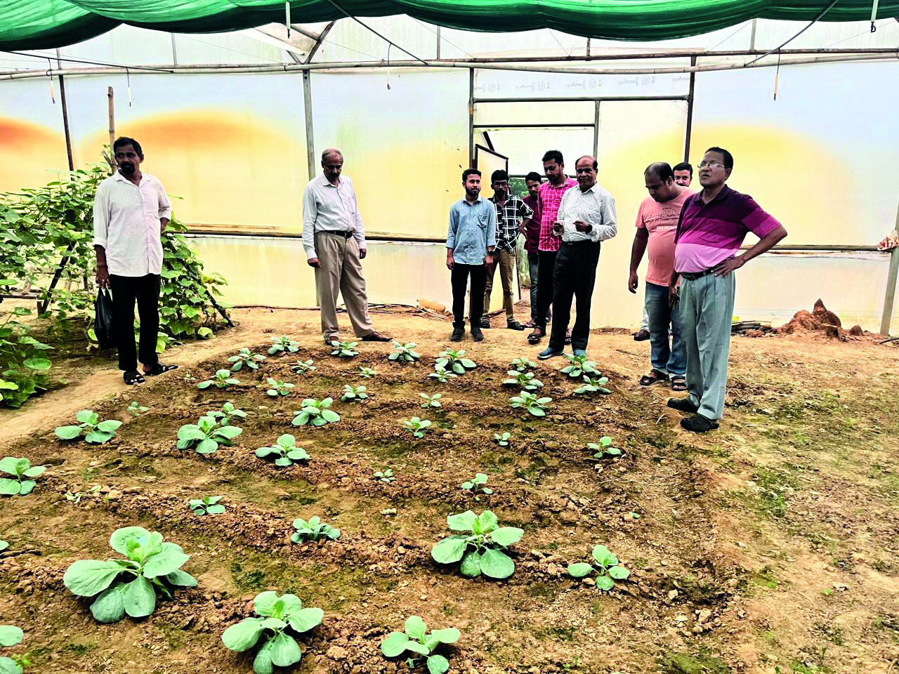 WBCADC gets experts to train Bankura famers in alternative crop cultivation