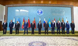 Normalising ties? Normalising ties?