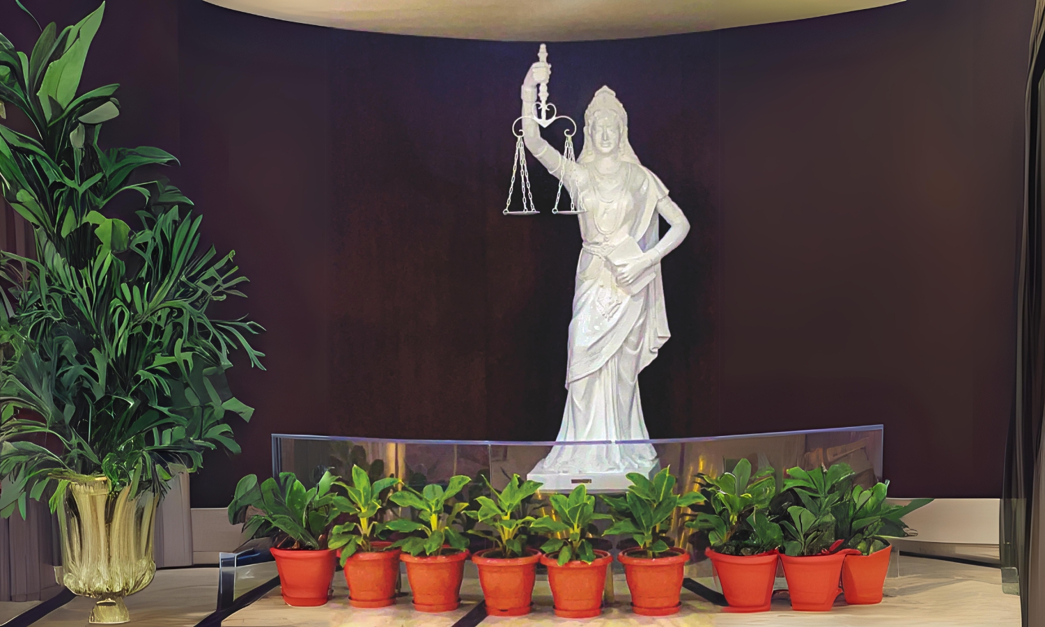 No longer ‘blind’ No longer ‘blind’