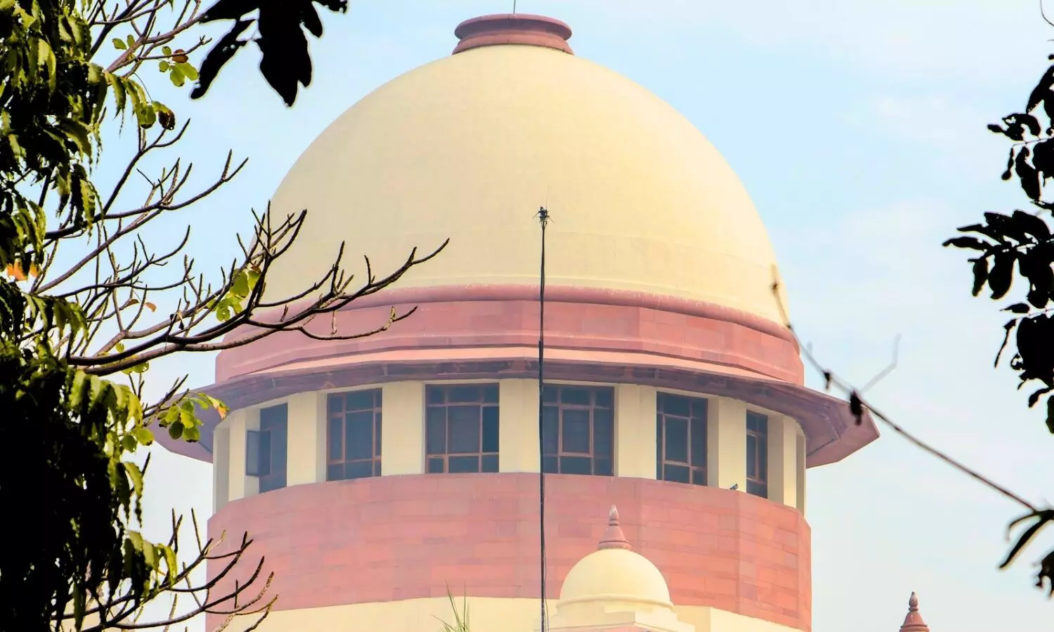 SC grants interim protection to journalist facing FIRs over tweets on UP caste dynamics SC grants interim protection to journalist facing FIRs over tweets on UP caste dynamics