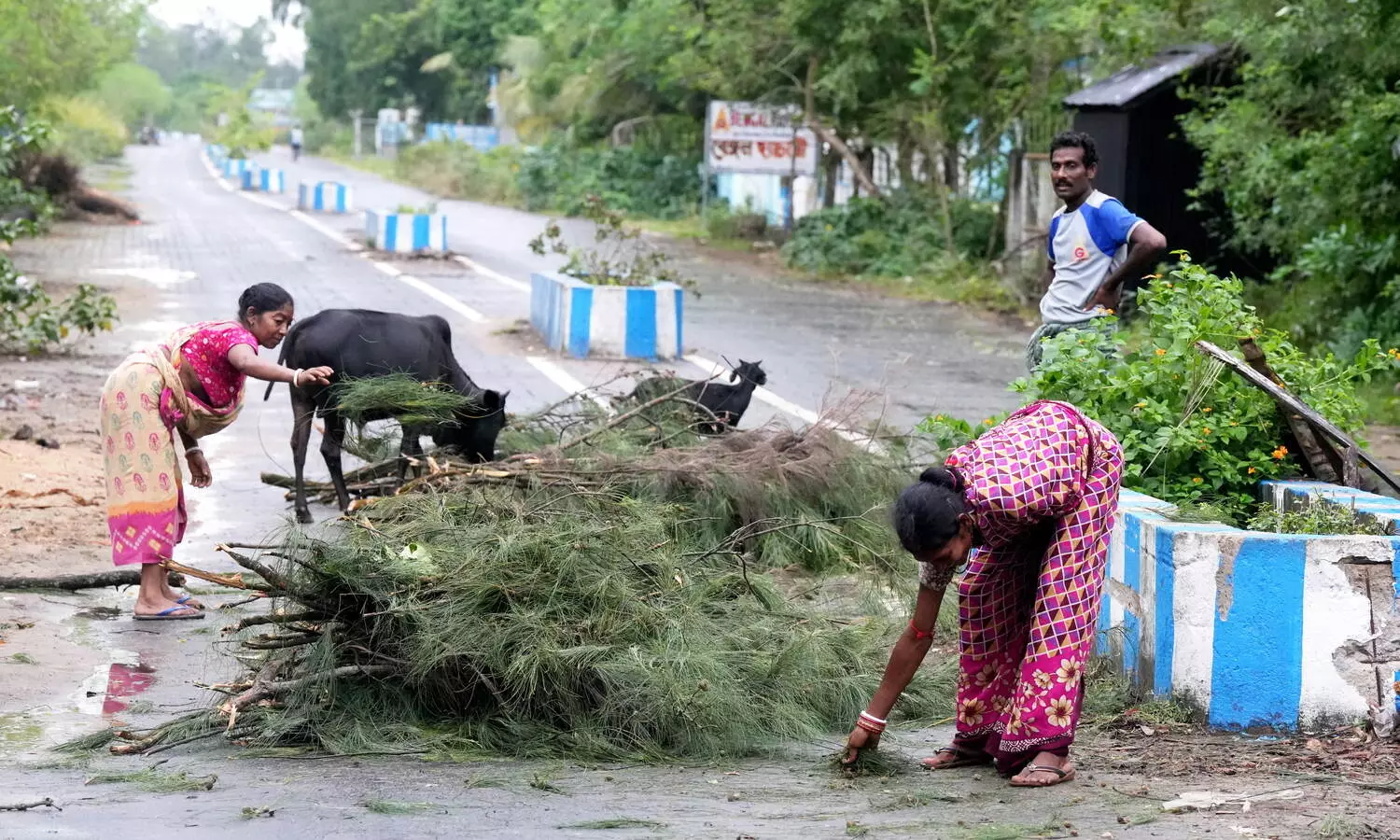 None died in cyclone Dana in Odisha, zero casualty mission successful: CM