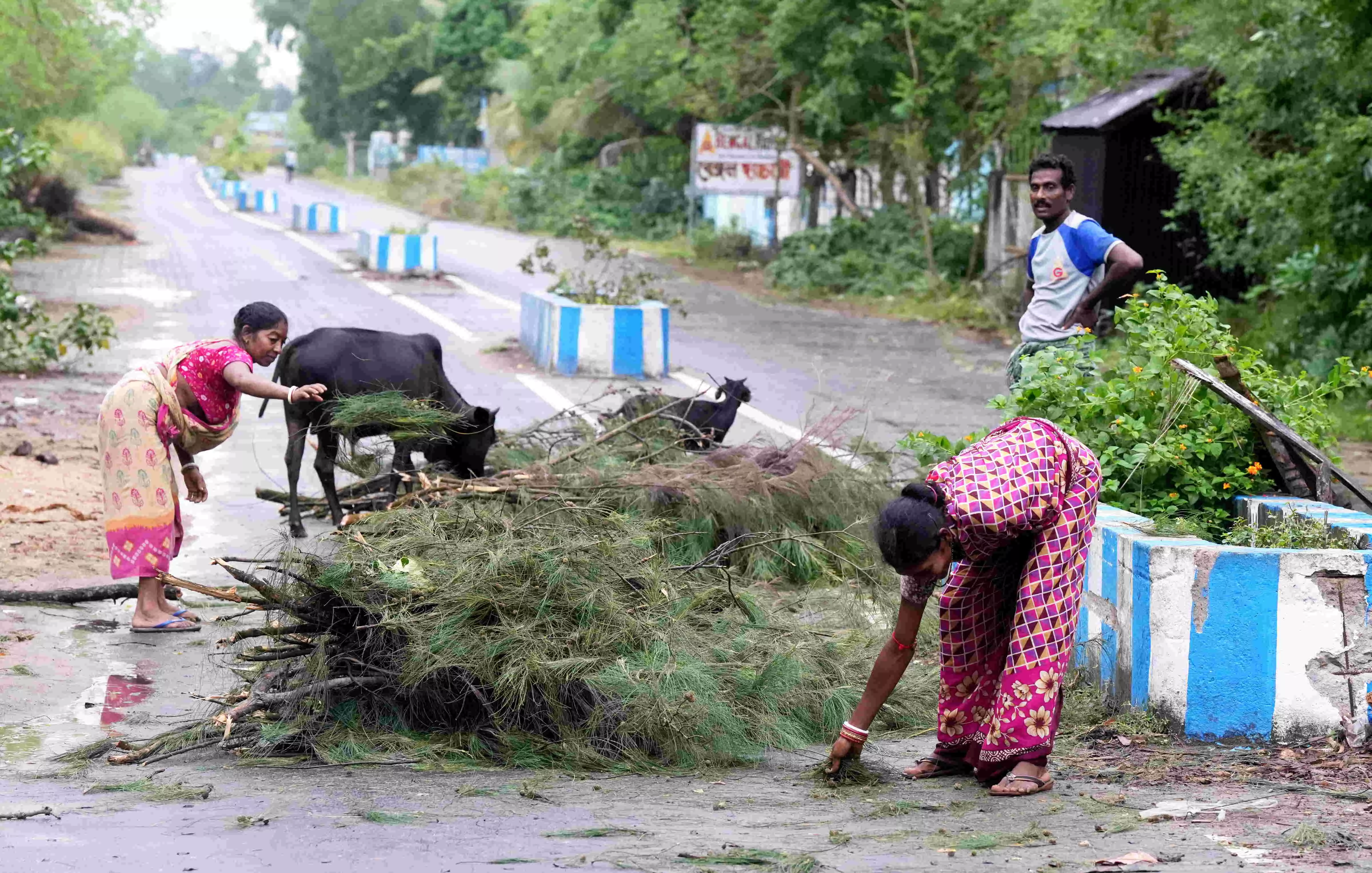 None died in cyclone Dana in Odisha, zero casualty mission successful: CM