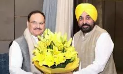 Punjab CM calls on Nadda, seeks complete supply of DAP fertiliser allotted to state by November 15 Punjab CM calls on Nadda, seeks complete supply of DAP fertiliser allotted to state by November 15