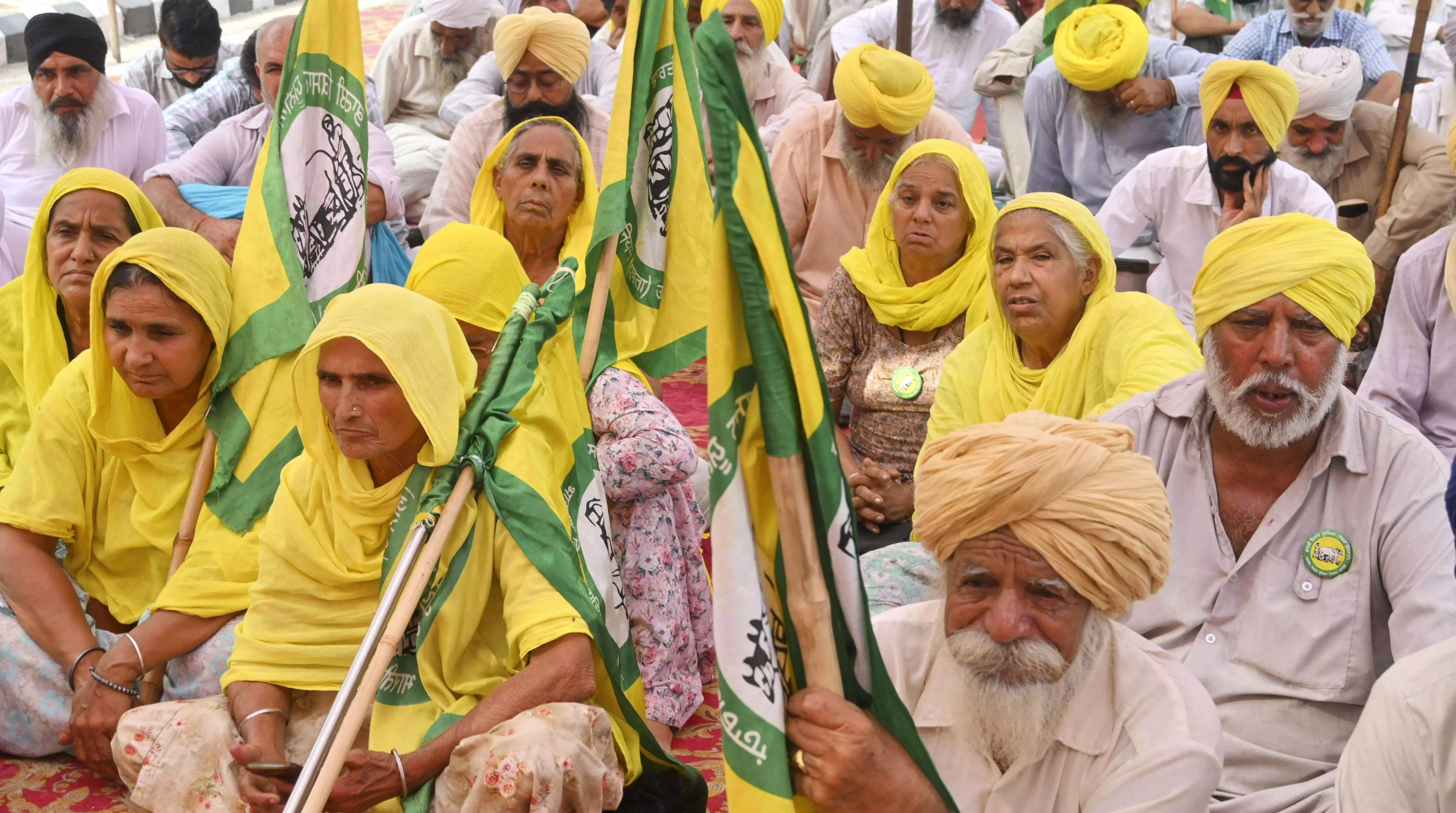Farmers hold protest against tardy paddy purchase in Punjab Farmers hold protest against tardy paddy purchase in Punjab