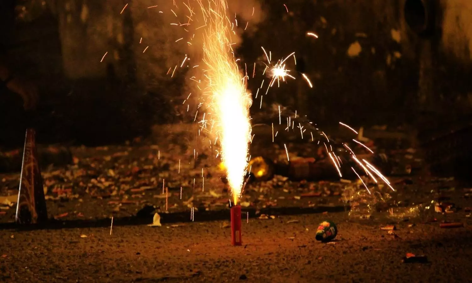 Delhi minister urges LG to crack down on illegal sale of firecrackers ahead of Diwali