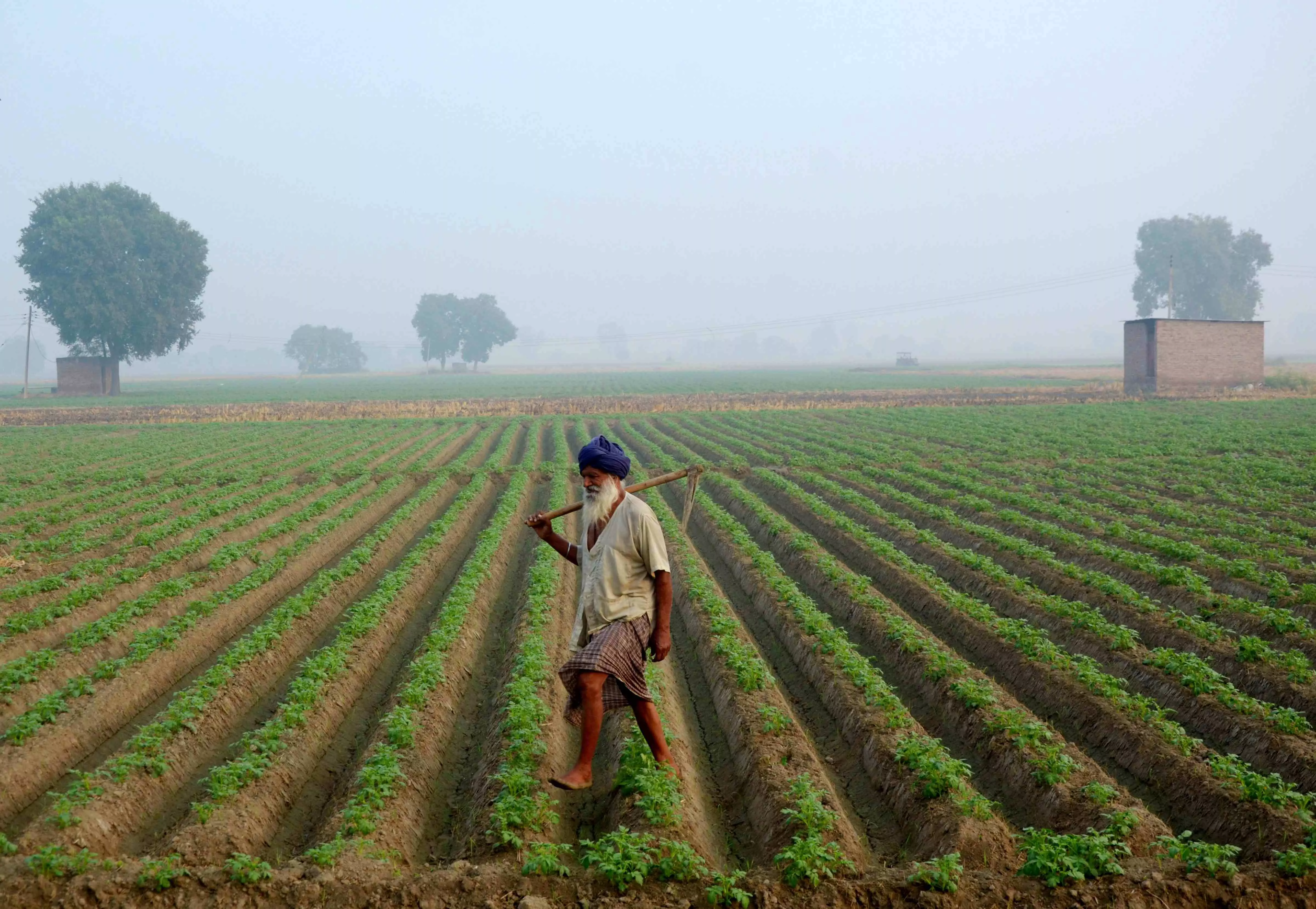 Punjab, Haryana farmers being punished under planned conspiracy for opposing farm laws, alleges Surjewala Punjab, Haryana farmers being punished under planned conspiracy for opposing farm laws, alleges Surjewala