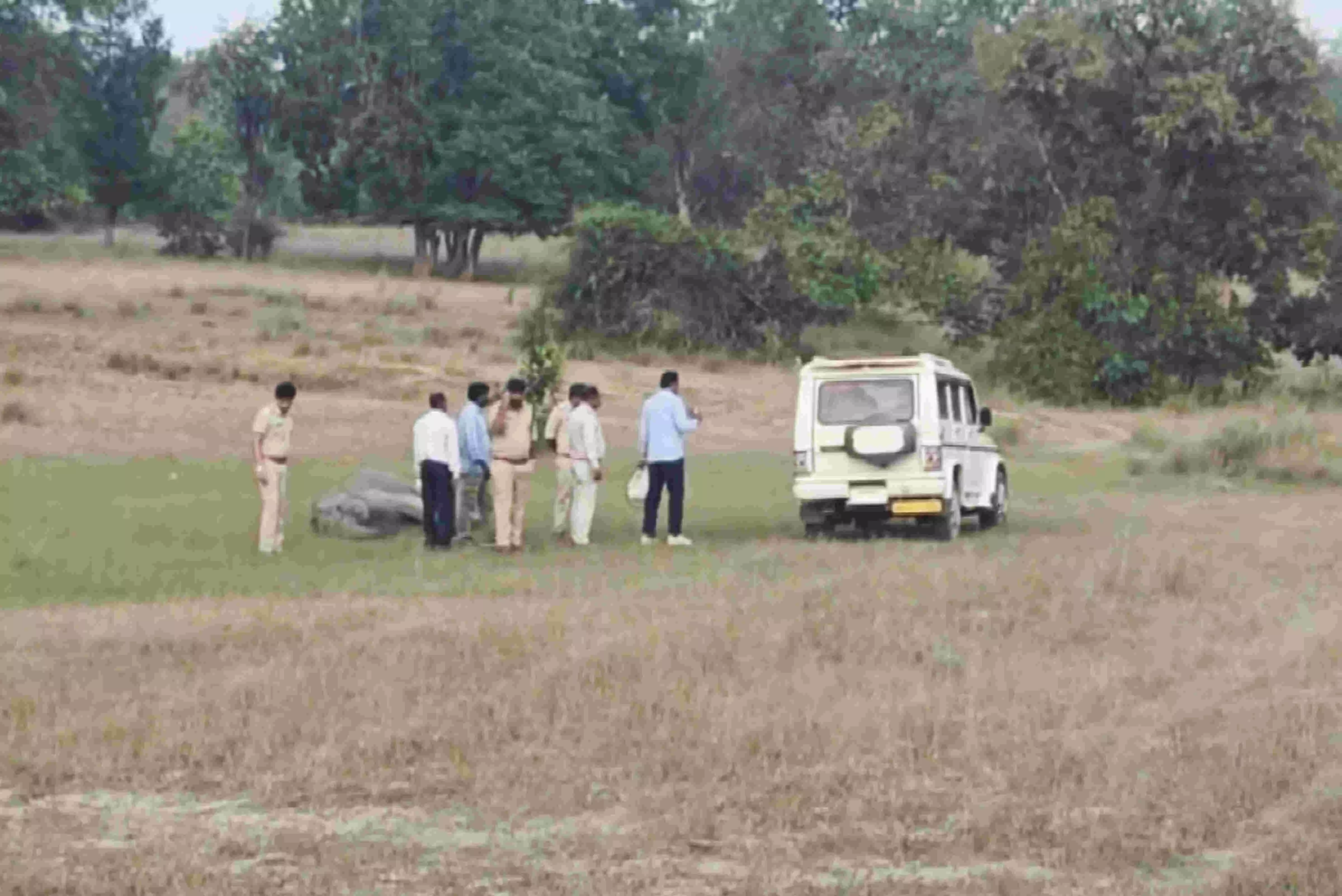 Three more wild elephants die in MPs Bandhavgarh, toll rises to 10