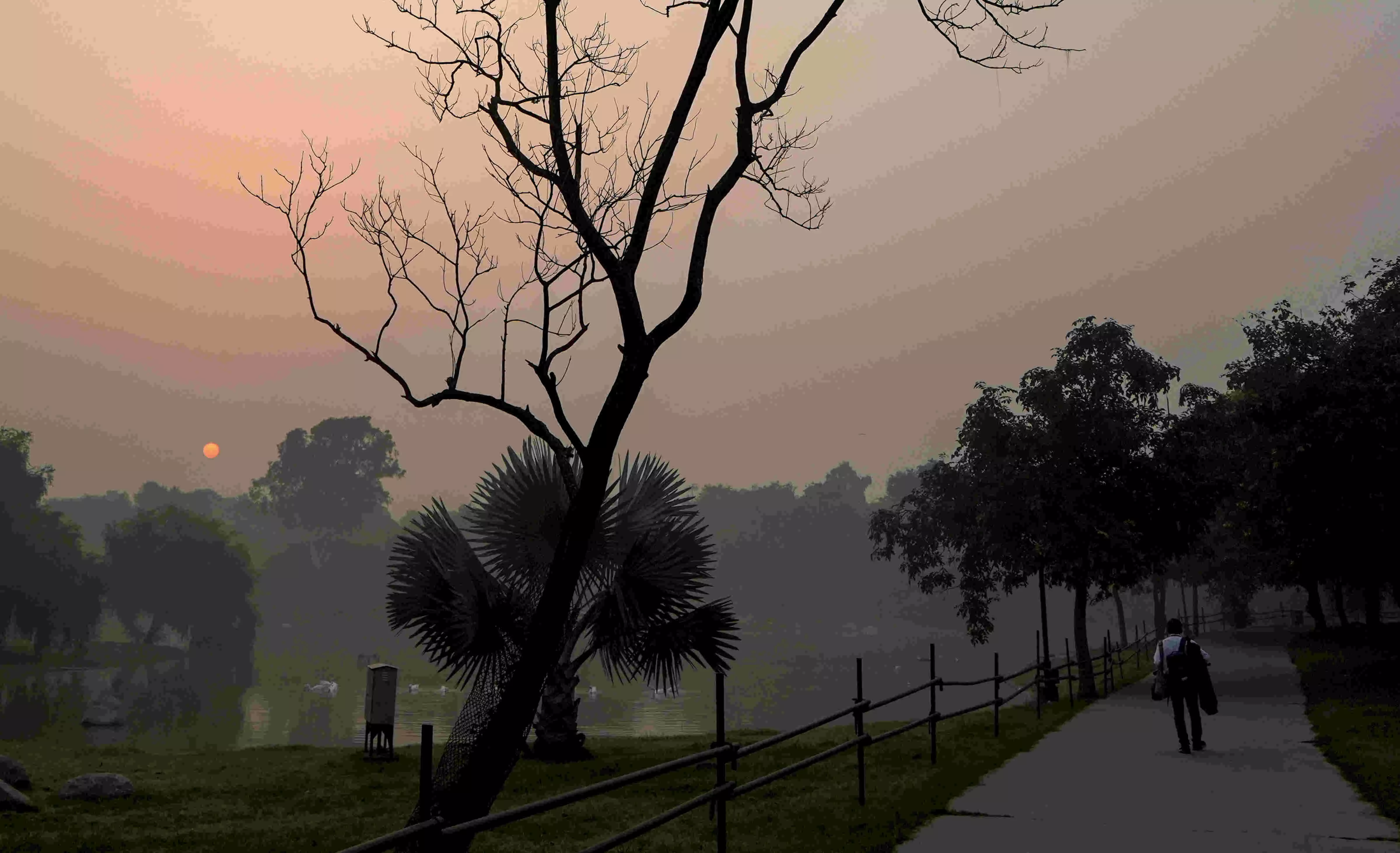 Relentless firecracker bursting shrouds Delhi in smog, ranked worlds most polluted city post-Diwali Relentless firecracker bursting shrouds Delhi in smog, ranked worlds most polluted city post-Diwali