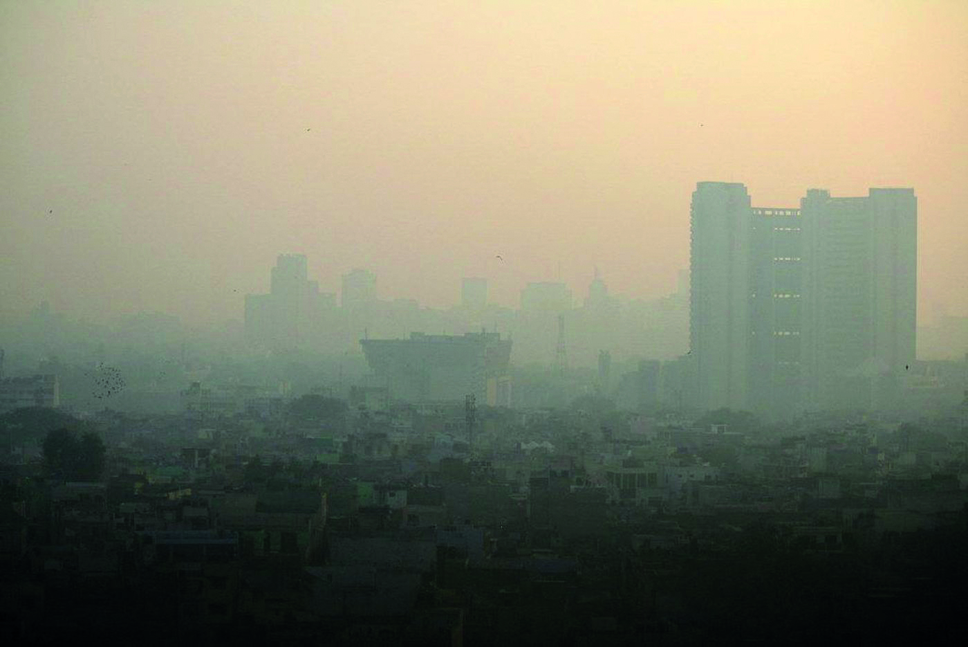 IMD forecasts warm November with no hint of winter IMD forecasts warm November with no hint of winter