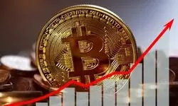 Bitcoin: A digital alternative?