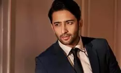 I like to challenge myself: Shaheer Sheikh