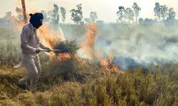 Punjab farmers condemn Centres move of doubling fines for stubble burning Punjab farmers condemn Centres move of doubling fines for stubble burning