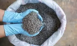 Govt committed to ensuring continuous supply of DAP fertilizer: Haryana CM